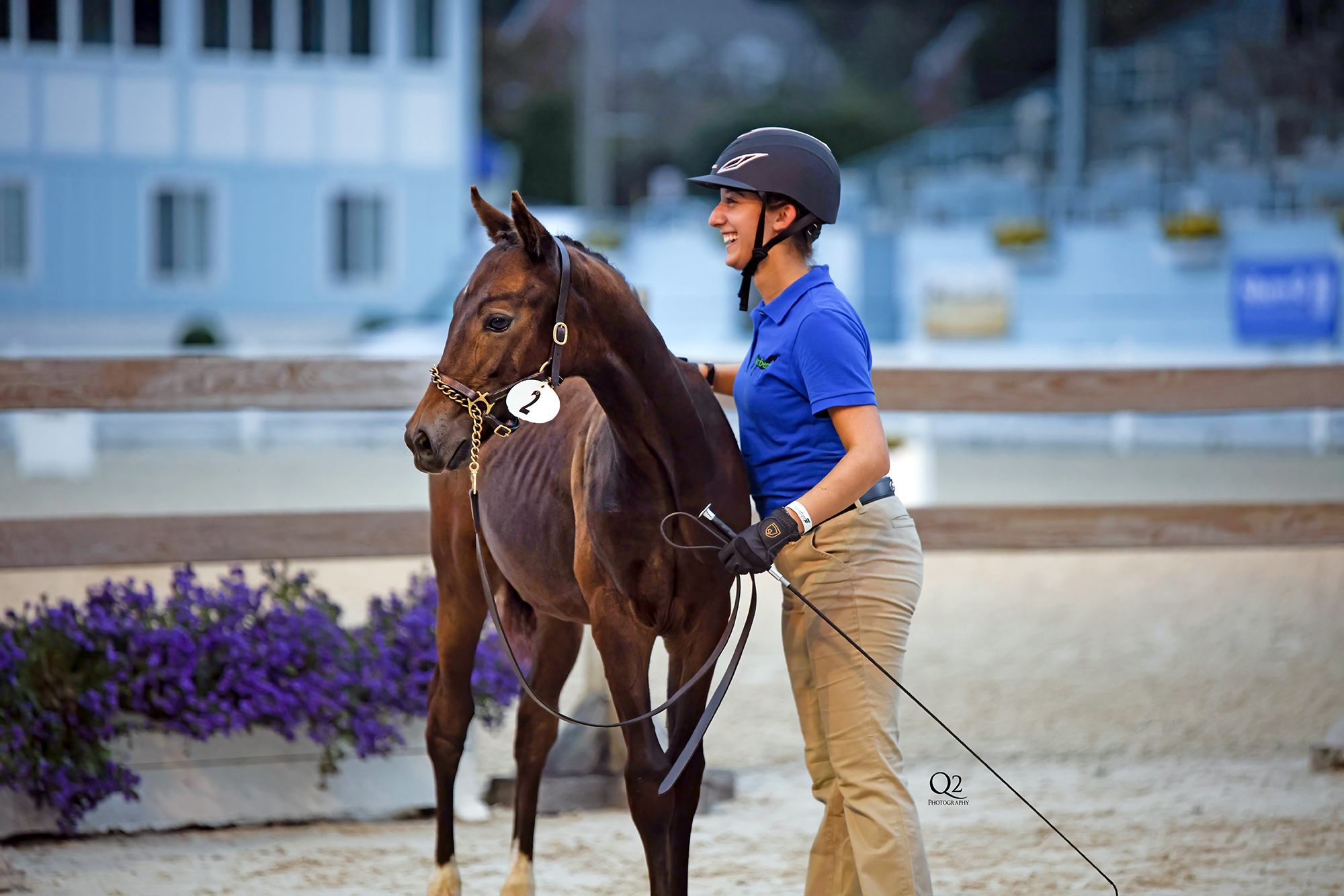 Home USDF Region 8